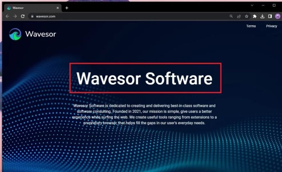 wavesor software